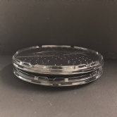 CPET托盘直销